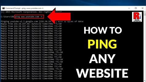 How to Ping a Website in CMD: A Journey Through Digital Echoes and Beyond