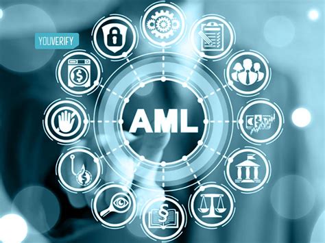 What is AML Software: A Symphony of Algorithms and Anarchy